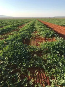 Fazenda/Sítio com 20 Quartos à venda, 2350m² no , Corinto
