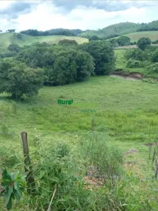 Fazenda/Sítio com 3 Quartos à venda, 10000m² no Centro, Silveiras