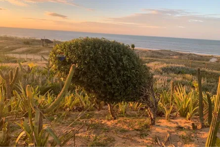 Lote/Terreno à venda, 367m² no , São Miguel do Gostoso