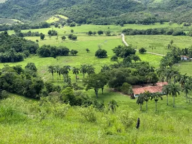 Fazenda/Sítio com 2 Quartos à venda, 5386250m² no , Silva Jardim