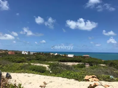 Lote/Terreno à venda, 4519m² no Sibaúma, Tibau do Sul
