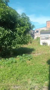 Lote/Terreno à venda, 492m² no Belas Artes, Itanhaém
