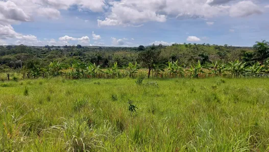 Fazenda/Sítio à venda, 9420m² no Mansões de Recreio Estrela Dalva VII-A, Novo Gama