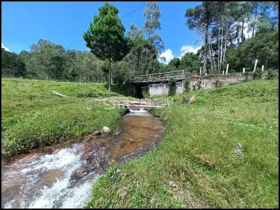 Fazenda/Sítio com 4 Quartos à venda, 145200m² no , Delfim Moreira