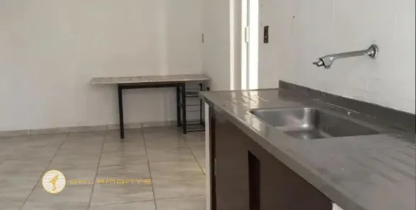 Casa com 1 Quarto para alugar, 45m² no Vila das Mercês, São Paulo