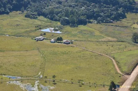Fazenda/Sítio com 4 Quartos à venda, 119990m² no Centro, São Francisco de Paula
