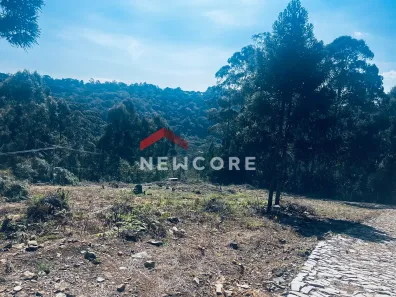 Lote/Terreno à venda, 539m² no Centro, São Francisco de Paula