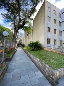 Apartamento com 2 Quartos para alugar, 52m² no Parque das Árvores, São Paulo