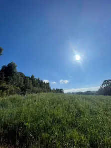 Fazenda/Sítio à venda, 48000m² no Pavão, Agudos do Sul