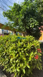 Apartamento com 1 Quarto à venda, 65m² no Jardim Guanabara, Rio de Janeiro