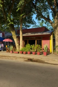 Imóvel Comercial para alugar, 100m² no Lagoa da Conceição, Florianópolis