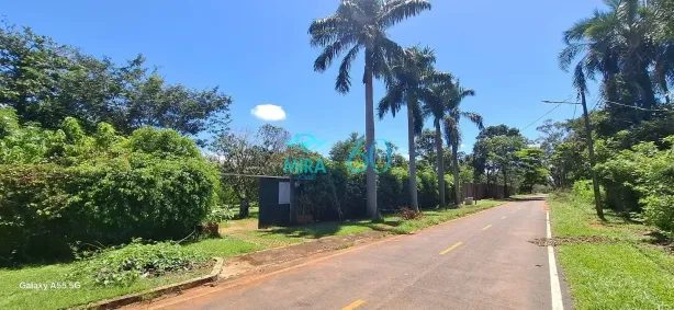 Fazenda/Sítio com 3 Quartos à venda, 5656m² no Estância Vargem Bonita, Senador Canedo