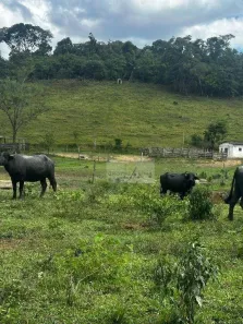 Fazenda/Sítio à venda, 2444200m² no , Natividade da Serra