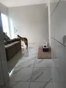 Casa com 2 Quartos à venda, 60m² no Vale das Acácias, Ribeirão das Neves