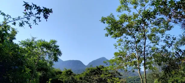 Lote/Terreno à venda, 5020m² no Alto da Boa Vista, Rio de Janeiro