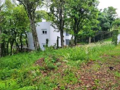 Lote/Terreno à venda, 1587m² no Linha 40, Caxias do Sul