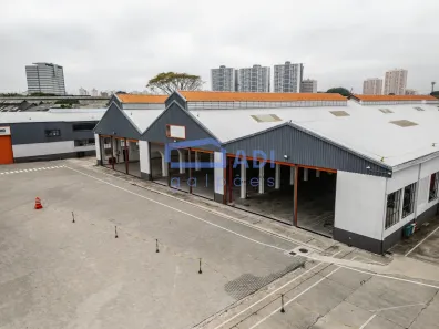 Galpão/Depósito/Armazém para alugar, 4050m² no Vila Anastácio, São Paulo