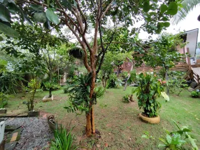 Casa com 3 Quartos à venda, 110m² no Itacorubi, Florianópolis