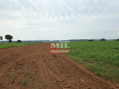 Fazenda/Sítio à venda, 1m² no , São Francisco de Goiás