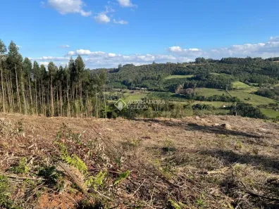 Fazenda/Sítio à venda, 20000m² no Pinhal Alto, Nova Petrópolis