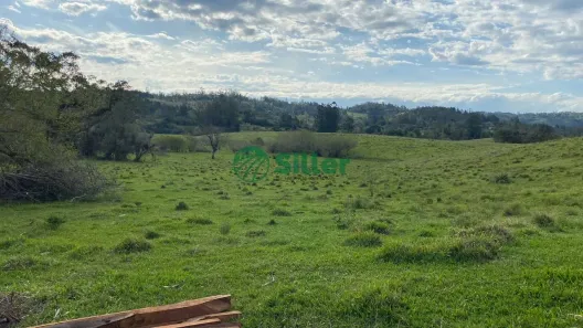 Fazenda/Sítio à venda, 1050m² no Morungava, Gravataí