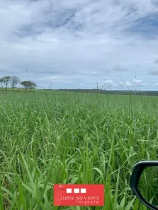 Fazenda/Sítio à venda, 8978200m² no Centro, Barra do Garças