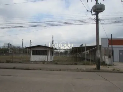 Lote/Terreno para alugar, 1700m² no Navegantes, Porto Alegre
