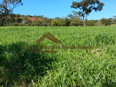 Fazenda/Sítio à venda, 1m² no , Cassilândia
