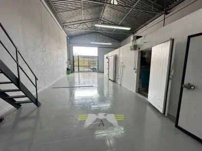 Galpão/Depósito/Armazém para alugar, 187m² no Vila Marieta, São Paulo