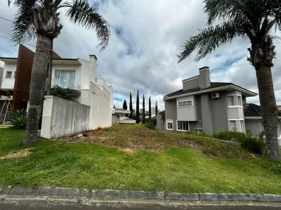 Lote/Terreno à venda, 300m² no Oficinas, Ponta Grossa