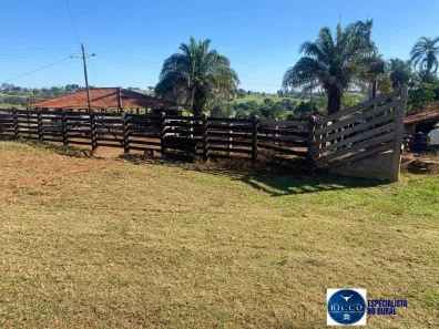 Fazenda/Sítio com 3 Quartos à venda, 12m² no Setor Central, Taquaral de Goiás