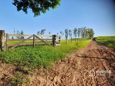 Fazenda/Sítio à venda, 72600m² no , Mariluz