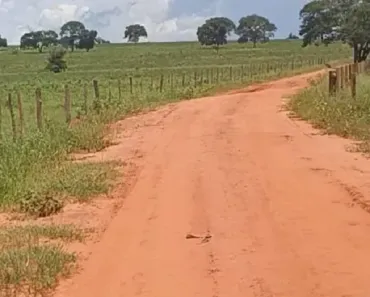 Fazenda/Sítio à venda, 556600m² no , Presidente Venceslau