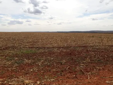 Fazenda/Sítio com 3 Quartos à venda, 12438800m² no , Campo Florido