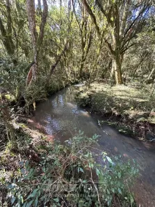 Fazenda/Sítio com 1 Quarto à venda, 20000m² no Centro, São Francisco de Paula