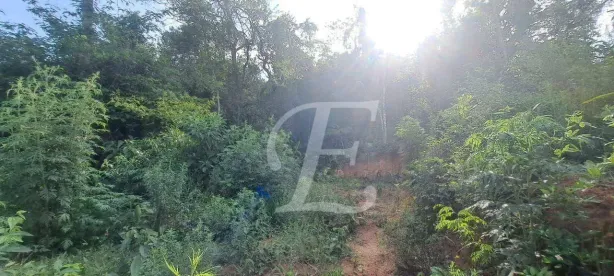 Lote/Terreno à venda, 1118m² no Caraguatá, Mairiporã
