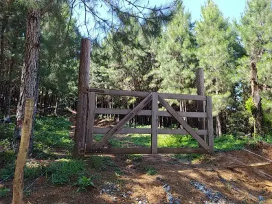 Fazenda/Sítio à venda, 508200m² no , Piedade