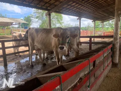 Lote/Terreno à venda, 1671m² no Zona Rural, Macaíba