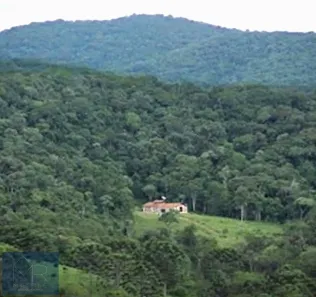 Fazenda/Sítio com 3 Quartos à venda, 41930m² no Sertão do Cantagalo, Gonçalves