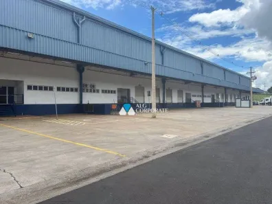 Galpão/Depósito/Armazém para alugar, 5580m² no Recreio Anhangüera, Ribeirão Preto
