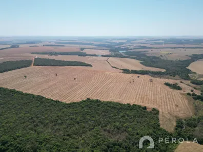 Fazenda/Sítio com 3 Quartos à venda, 1040600m² no , Piracanjuba