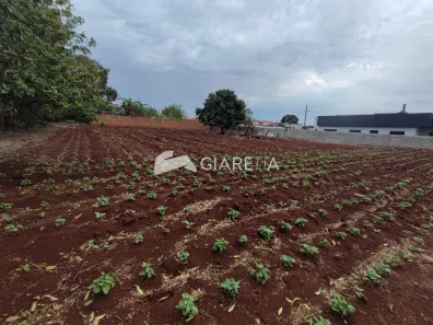 Lote/Terreno à venda, 800m² no Bom Princípio do Oeste, Toledo