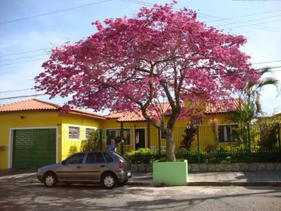 Casa com 4 Quartos à venda, 260m² no Centreville, Santo André