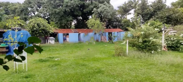 Fazenda/Sítio com 1 Quarto à venda, 350m² no Área Rural de Limeira, Limeira