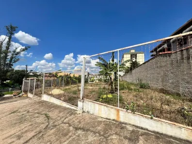 Lote/Terreno à venda, 423m² no Jardim Ypê, Paulínia