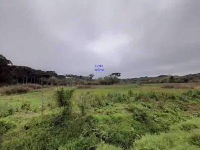 Lote/Terreno à venda, 166957m² no Campina da Barra, Araucária