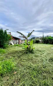 Lote/Terreno à venda, 275m² no Massaguaçu, Caraguatatuba