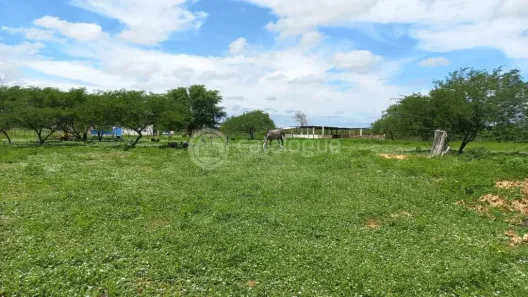 Fazenda/Sítio à venda, 200m² no , Jandaíra