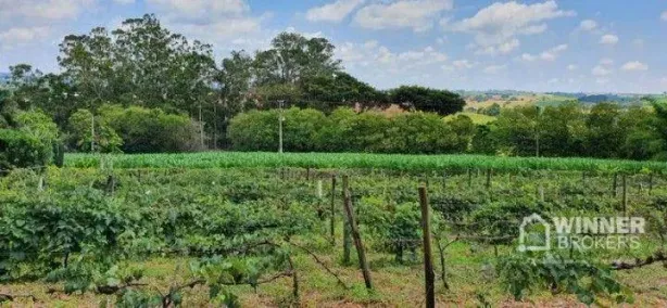 Fazenda/Sítio à venda, 117730m² no Vila Sampaio, Arapongas
