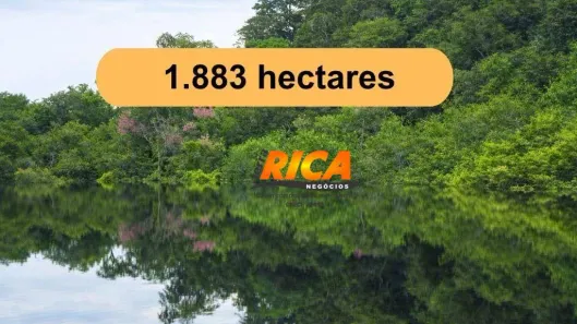 Fazenda/Sítio à venda, 18830000m² no Área Rural de Porto Velho, Porto Velho
